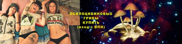сатива Алексеевка