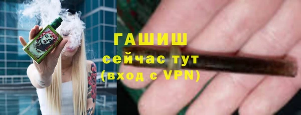 прущие грибы Алзамай