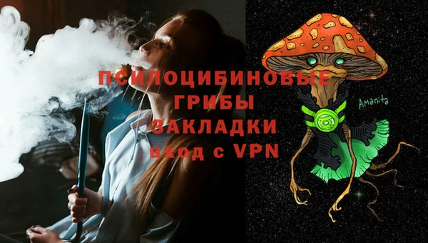 прущие грибы Алзамай
