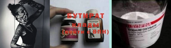 прущие грибы Алзамай