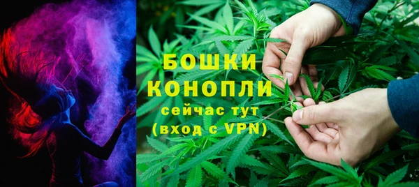 прущие грибы Алзамай